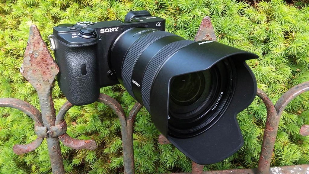 Sony A6600 (Review) - Specifications- Functions - Guides