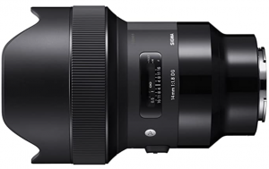 Top 10 Best Sony FE Lenses to Buy in 2021- Reviews & Guides